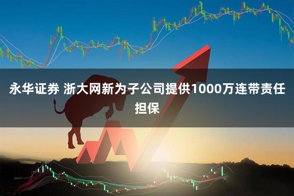 永华证券 浙大网新为子公司提供1000万连带责任担保