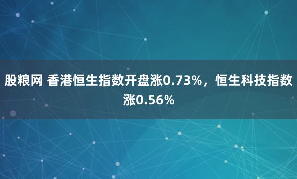 股粮网 香港恒生指数开盘涨0.73%，恒生科技指数涨0.56%